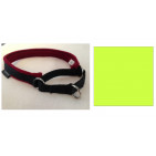 13GHC10LIME-1